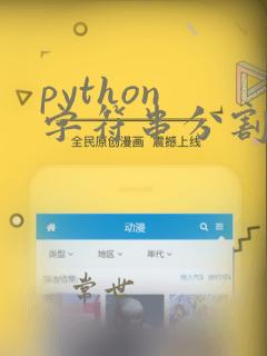 python 字符串分割