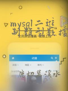 mysql二进制类型数据
