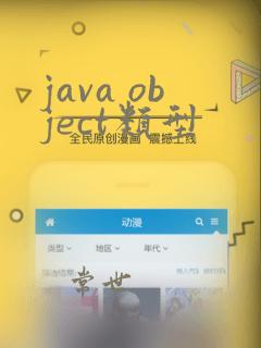 java object类型