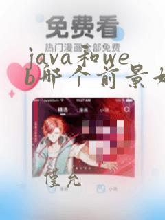 java和web哪个前景好