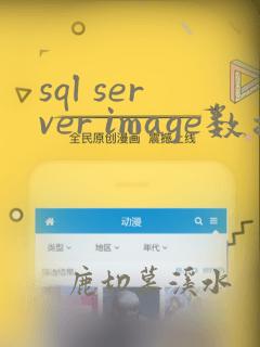 sql server image数据类型