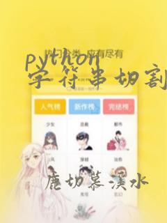 python 字符串切割