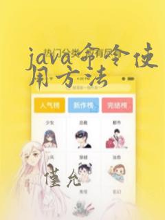 java命令使用方法