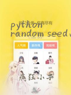 python random seed函数