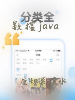 数据java