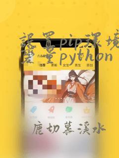 设置pip环境变量python