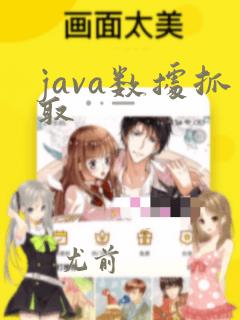 java数据抓取