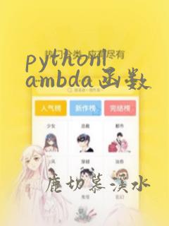 pythonlambda函数