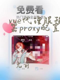 vue代理服务器proxy配置详解