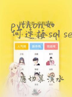 python如何连接sql server