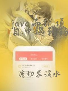 java面试项目中遇到的难点