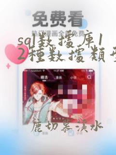 sql数据库12种数据类型