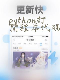 python打开程序代码