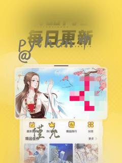 python中@