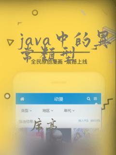 java中的异常类型