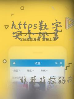 https数字安全证书