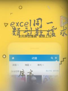 excel同一类型数据求和