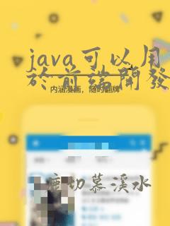 java可以用于前端开发吗