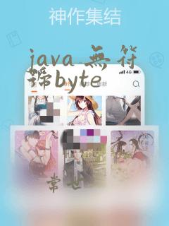 java 无符号byte