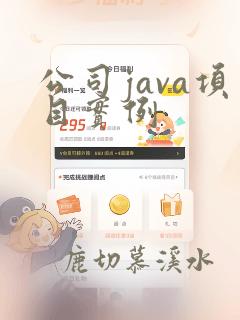 公司java项目实例