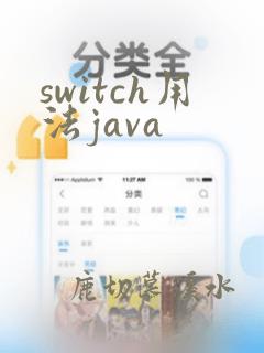 switch用法java