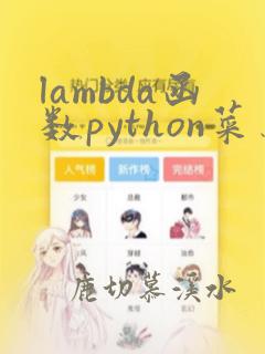 lambda函数python菜鸟教程