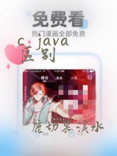 c java区别