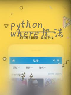 python where用法