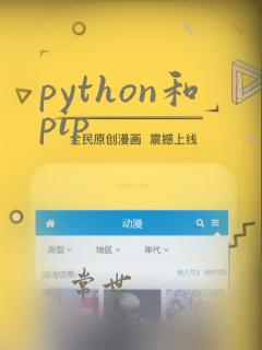 python和pip