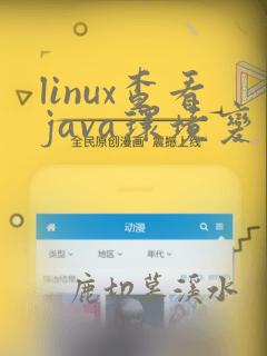 linux查看java环境变量配置