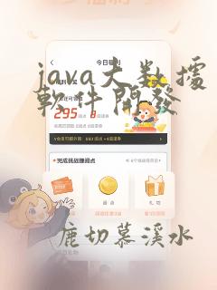 java大数据软件开发