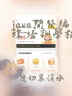 java开发编程 培训学校