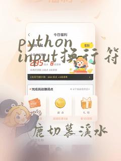 python input换行符