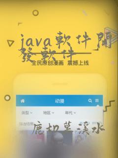 java软件开发软件