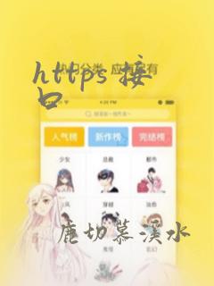 https 接口