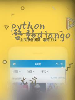 python 启动django
