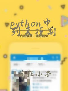 python中列表复制