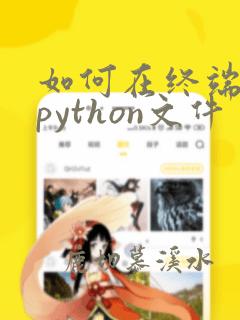 如何在终端运行python文件