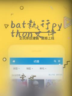bat执行python文件