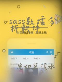 sass数据分析软件