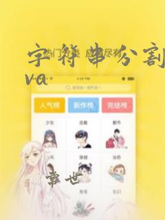 字符串分割java