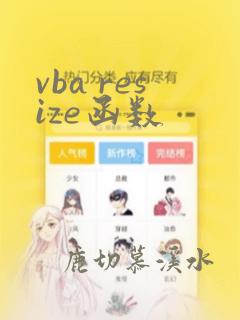 vba resize函数