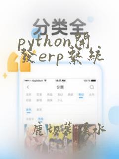 python开发erp系统