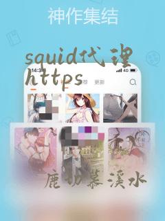 squid代理https