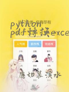 python pdf转换excel