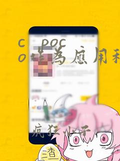 c   poco作为应用程序框架