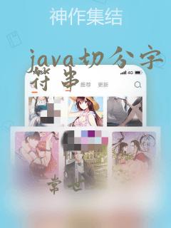java切分字符串