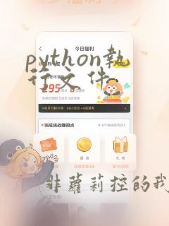 python执行文件