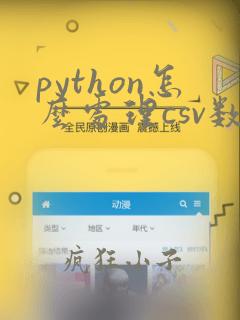 python怎么处理csv数据