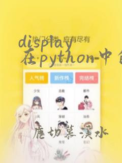 display在python中的作用